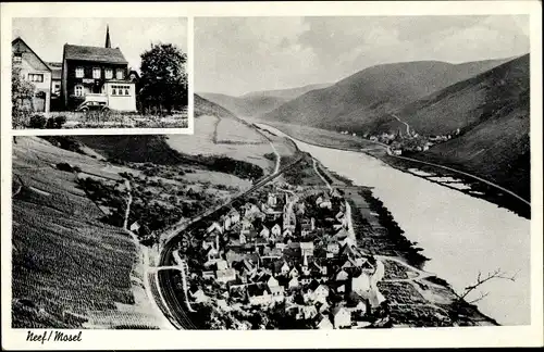 Ak Neef an der Mosel, Totalansicht vom Ort, Gasthaus Nelius