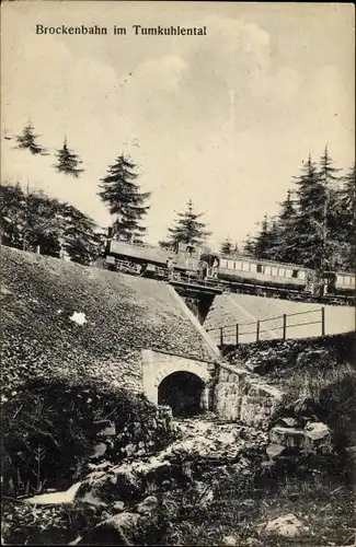 Ak Brockenbahn im Tumkuhlental, Eisenbahn