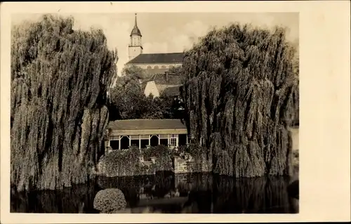 Ak Bischofswerda in Sachsen, Am Mühlteich