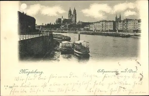 Ak Magdeburg an der Elbe, Elbpanorama mit Dom, Schiffe