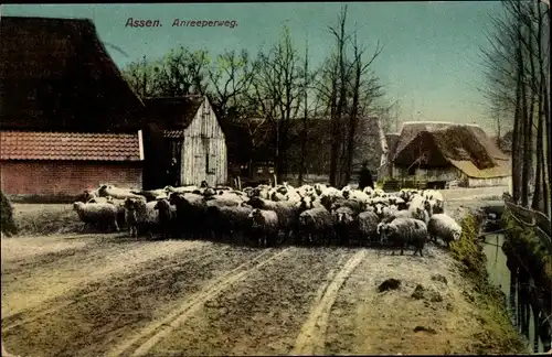 Ak Assen Drenthe Niederlande, Anreeperweg
