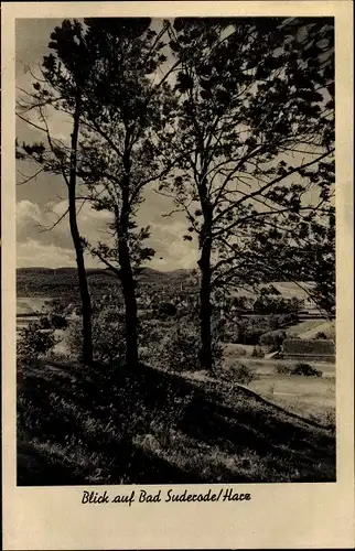 Ak Bad Suderode Quedlinburg im Harz, Panorama