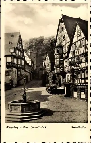 Ak Miltenberg am Main Unterfranken, Schnatterloch