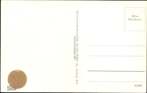 Ak Ratzeburg in Lauenburg, Dom, Löwenstatue