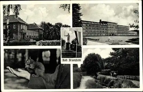 Ak Bad Bramstedt in Holstein, Teilansichten, Eichhörnchen, Denkmal, Flagge