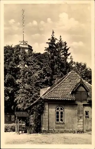 Ak Schönwalde am Bungsberg in Ostholstein, Elisabethturm