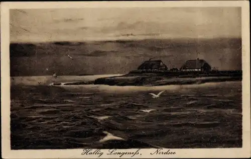 Ak Hallig Langeneß Nordfriesland, Panorama