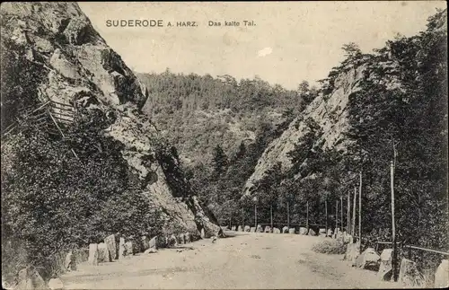 Ak Bad Suderode Quedlinburg im Harz, Das kalte Tal