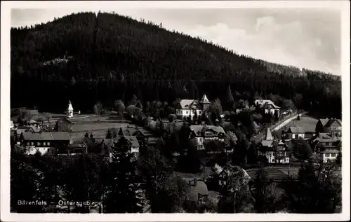 Ak Bärenfels Altenberg im Erzgebirge, Panorama