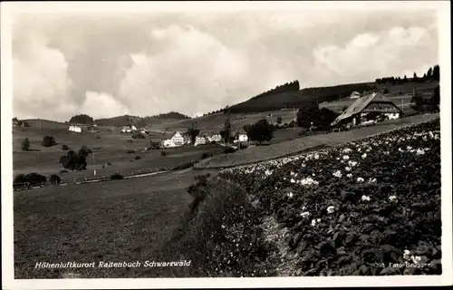 Ak Raitenbuch Lenzkirch im Schwarzwald, Panorama