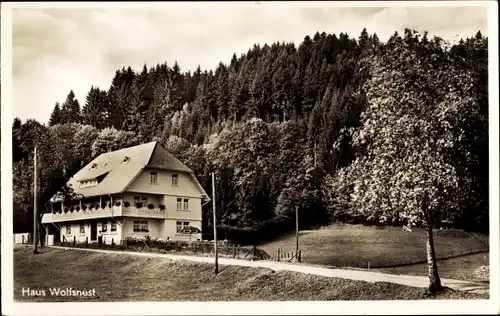 Ak Hinterzarten im Schwarzwald, Haus Wolfsnest