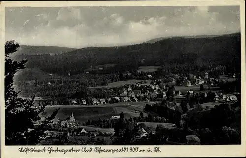 Ak Hinterzarten im Schwarzwald, Panorama