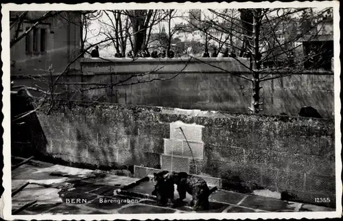 Ak Bern Stadt Schweiz, Bärengraben