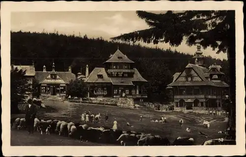 Ak Radhošť Radhoscht Region Pardubice, Blick auf Hotels, Rind