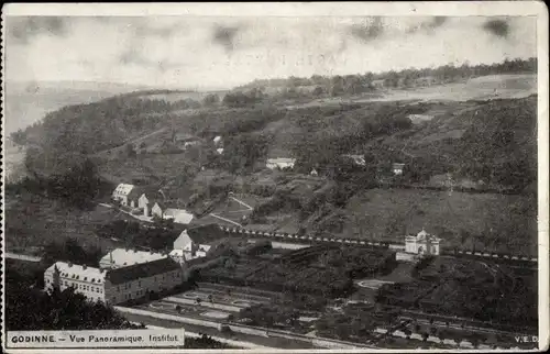 Ak Godinne Yvoir Namur Wallonien, Vue panoramique, Institut