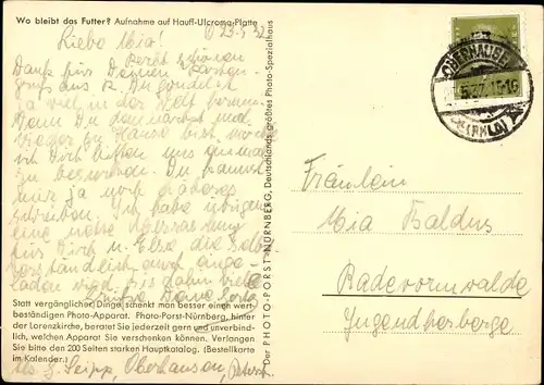 Ak Wo bleibt das Futter, Ziegen vor dem Stall