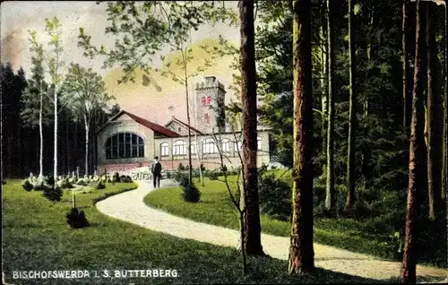 Ak Butterberg Bischofswerda in Sachsen, Weg zum Aussichtsturm