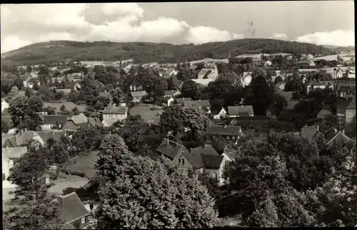 Ak Neukirch in der Lausitz, Panorama