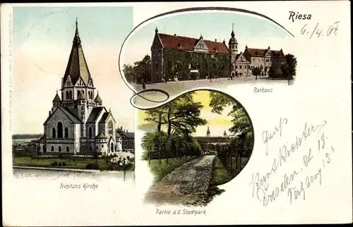 Ak Riesa Elbe Sachsen, Rathaus, Trinitatiskirche, Stadtpark