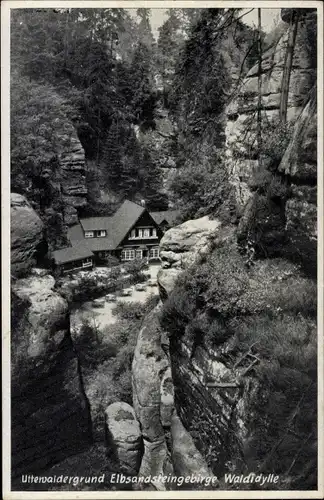 Ak Lohmen Sächsische Schweiz, Uttewalder Grund, Waldidylle