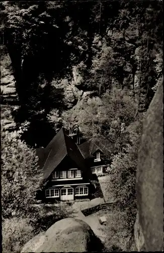 Ak Lohmen Sächsische Schweiz, Uttewalder Grund, Waldidylle