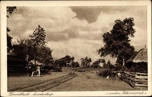 Ak Drenthe Niederlande, Drenthsch landschap, onder Schoonoord, Kuh