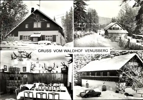 Ak Venusberg Drebach Erzgebirge, Pension Waldhof im Winter, Schnee