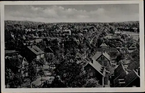 Ak Friedrichsbrunn Thale im Harz, Panorama