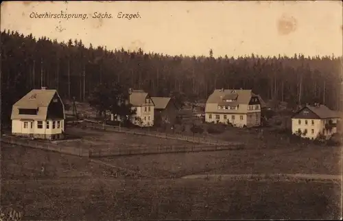 Ak Oberhirschsprung Hirschsprung Altenberg Erzgebirge, Teilansicht, Häuser