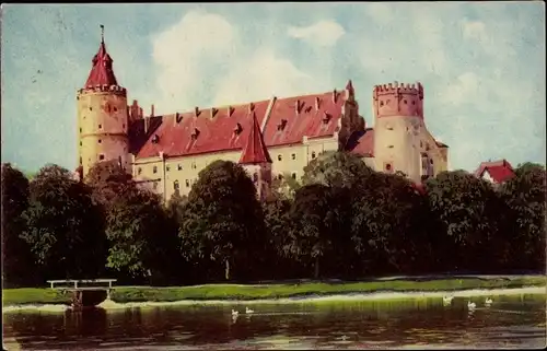 Ak Lauingen a.d. Donau, Schloss, Ufer