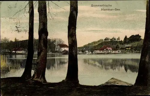 Ak Hamr na Jezeře Hammer am See Region Reichenberg, Partie am Wasser, Bäume