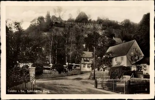 Ak Colditz in Sachsen, Schlobachs Berg