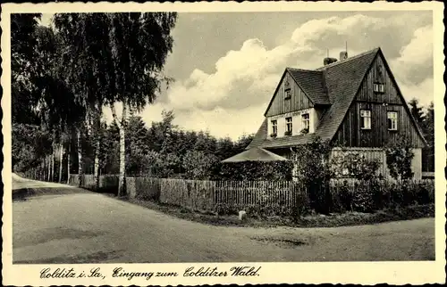 Ak Colditz in Sachsen, Eingang zum Colditzer Wald