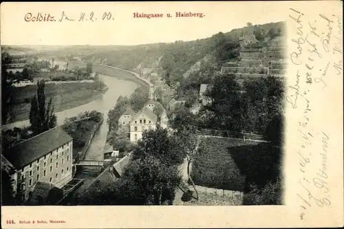 Ak Colditz in Sachsen, Haingasse und Hainberg