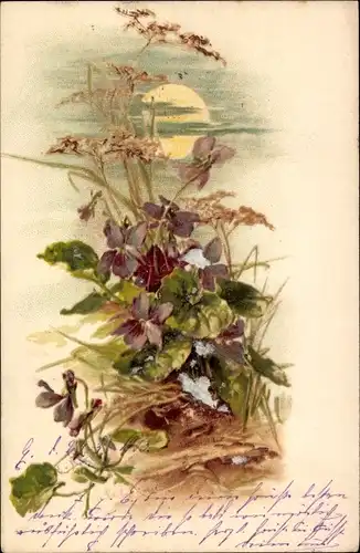 Litho Veilchen im Mondschein