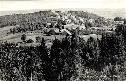 Ak Jauernick Buschbach Markersdorf Oberlausitz, Blick über die Baumkronen zum Ort