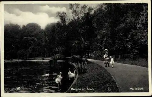 Ak Bergen op Zoom Nordbrabant Niederlande, Volkspark, Schwäne