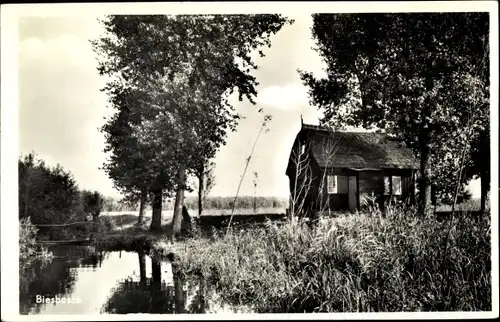 Ak Biesbosch Nordbrabant, Landschaft mit Gebäude