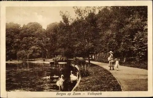 Ak Bergen op Zoom Nordbrabant Niederlande, Volkspark, Schwäne