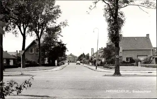 Ak Nieuwendijk Nordbrabant, Biesbosstraat