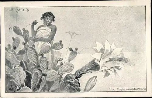 Künstler Ak Le Cactus, Frau und Kakteen, Journal des Voyages