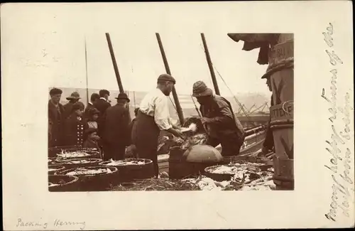 Foto Ak Packing Herring, Fischer mit Heringen