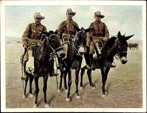 Sammelbild Der Weltkrieg 1914/18, Die Kämpfe in den deutschen Kolonien Nr. 248,Reiter, Südwestafrika