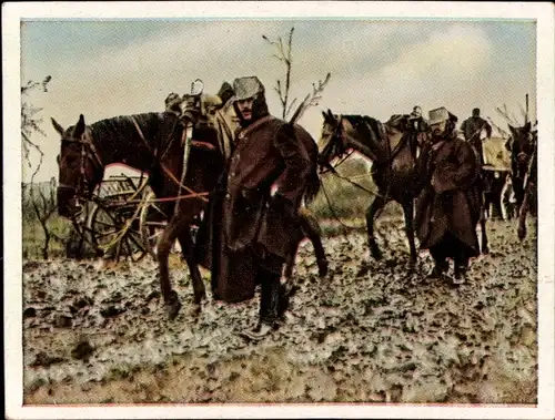 Sammelbild Der Weltkrieg 1914, Kriegsbeginn im Osten Nr. 28, Verbündete KuK Husaren