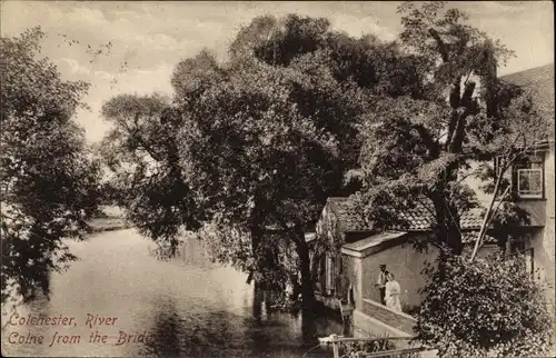 Ak Colchester England, River Colne from the Bridge