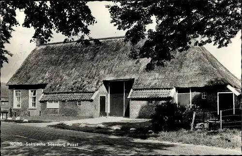 Ak Norg Drenthe, Saksische boerderij, Peest