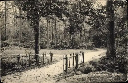 Ak Breda Nordbrabant Niederlande, Liesbosch