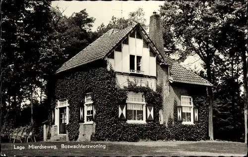 Ak Lage Mierde Nordbrabant, Vacantiecentrum De Hertenwei, Boswachterswoning