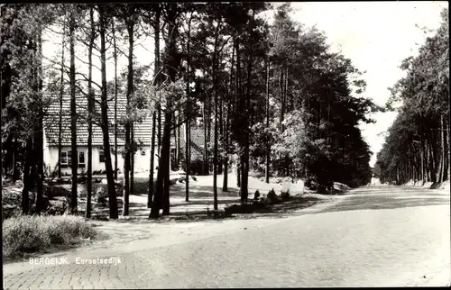 Ak Bergeijk Nordbrabant, Eerselsedijk