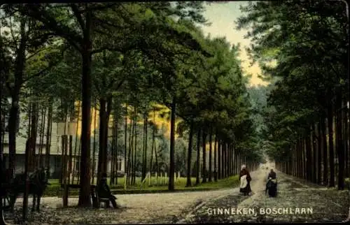 Ak Ginneken en Bavel Nordbrabant, Boschlaan